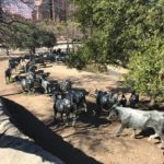 Dallas Cattle Drive Sculptures