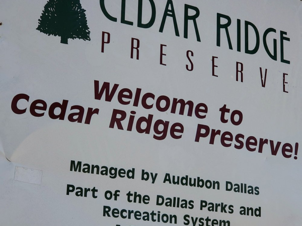 Cedar Ridge Preserve managed by Audubon Dallas