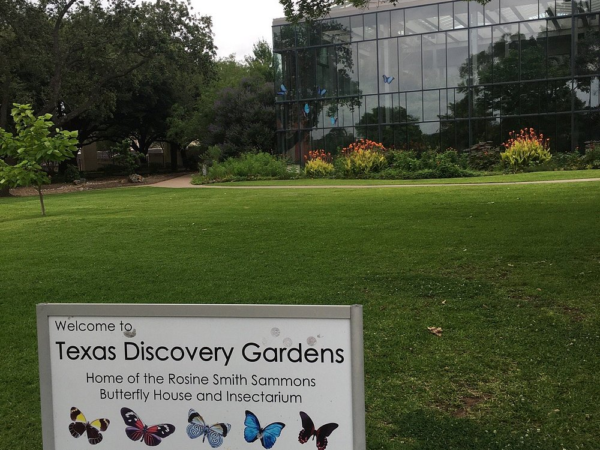Texas Discovery Gardens