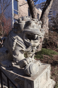 Dragon Park
