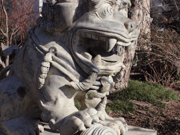 Dragon Park