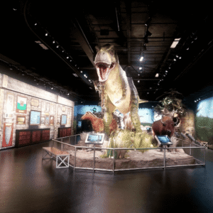 ICR Discovery Center