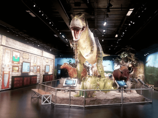 ICR Discovery Center