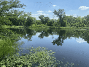 Trinity River Audubon Center