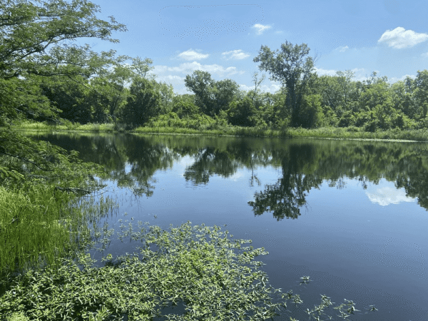 Trinity River Audubon Center