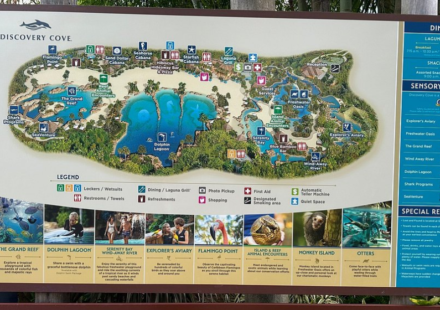 Discovery Cove