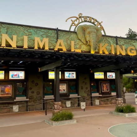 Disney's Animal Kingdom Theme Park